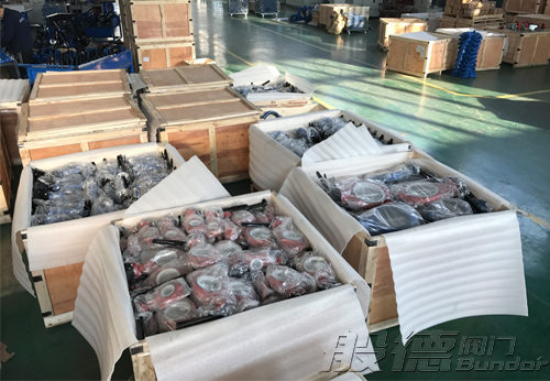 印尼某經(jīng)銷(xiāo)商從般德閥門(mén)進(jìn)口蝶閥產(chǎn)品