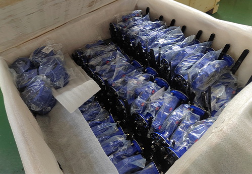 般德蝶閥、蝶式止回閥等產(chǎn)品出口澳大利亞